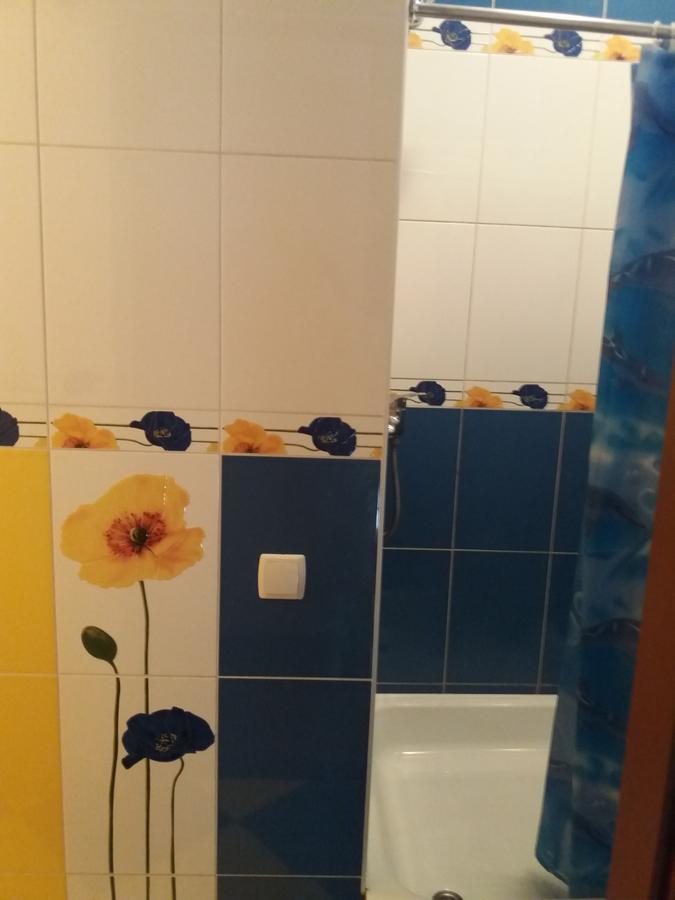 Уютные Апартаменты В Самом Сердце Старого Города Kamianets-Podilskyi Εξωτερικό φωτογραφία